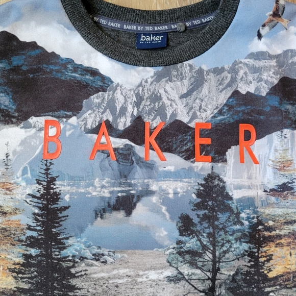 GUC Ted Baker Boys Grey Sweatshirt size 10 years - Picture 2 of 5